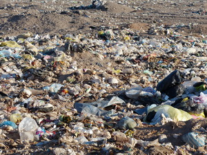 دفن خاک رفسنجان زیر زباله ها+عکس