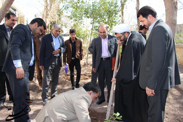 گزارش تصویری درختکاری در فرمانداری رفسنجان+ عکس