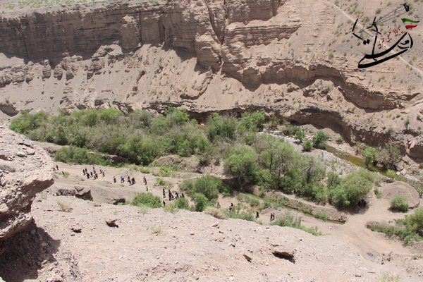 وجود 193 سامانه مرتعی در رفسنجان