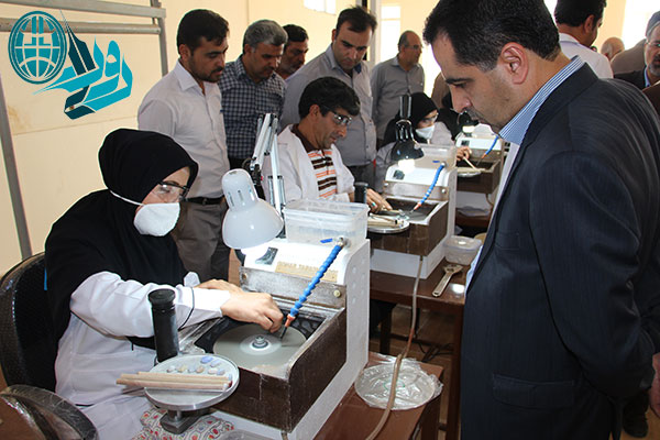 کارگاه آموزشی سنگ های قیمتی در رفسنجان افتتاح شد