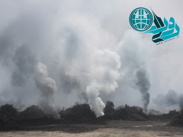 وجود ۱۰۶ کوره زغالسوز در اراضی ملی رفسنجان