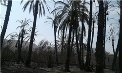 خسارت ۲۱ میلیارد ریالی آتش‌سوزی به کشاورزان عنبرآباد/مهار آتش پس از ۹ ساعت