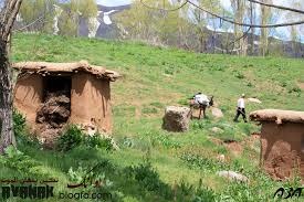 ۳۰ روستای رفسنجان جمعیت بالای ۱۵۰۰نفر دارند