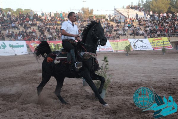جشنواره زیبایی اسب های شهرستان رفسنجان +عکس