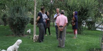 سگ‌گردانی در پارک‌های رفسنجان پدیده‌ای دور از اصالت شهر