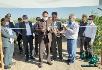 افتتاح طرح های جهادکشاورزی در رفسنجان+تصاویر