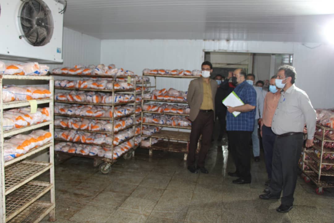 بازدید دادستان رفسنجان از کشتارگاه‌های مرغ شهرستان