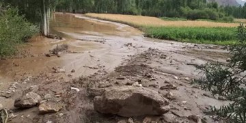 آخرین وضعیت بارندگی در روستاهای شرقی رفسنجان/خسارت سنگین سیلاب به دره در