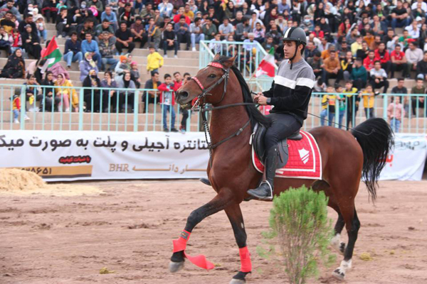 جشنواره کشوری اسب های اصیل و بومی در رفسنجان خاتمه یافت
